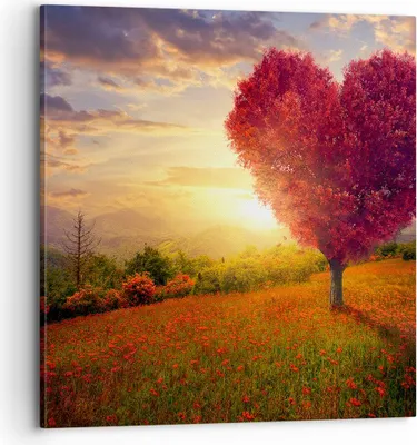 Produktbild von Bild auf Leinwand - Leinwandbild - Baum Wiese Blume - 70x70cm - Wand Bild - Wanddeko - Wandbilder - Leinwanddruck - Bilder - Kunstdruck - Wanddekoration - Leinwand bilder - Wandkunst - AC70x70-3790