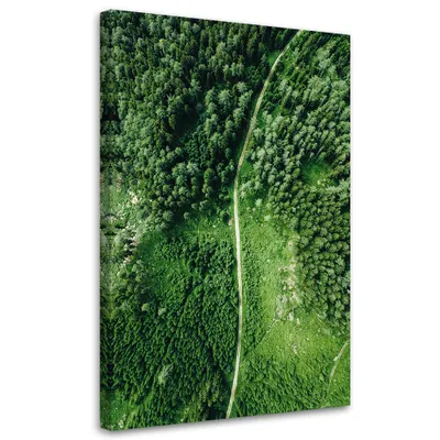 Produktbild von Leinwandbild Pfad durch grünen Wald 60x90 Feeby Grün bild für die wand bereit zum aufhängen