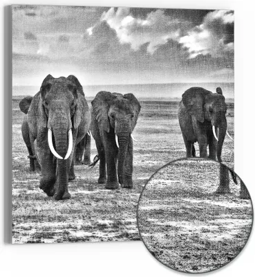 Produktbild von DEQORI Hybrid Leinwand Bild 30x30 cm 'Elefantenmarsch' Wandbild Glas flach modern