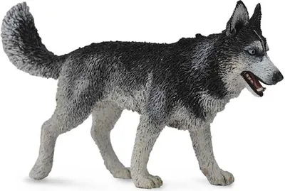 Immagine prodotto di Collecta Siberian husky 88707 87074