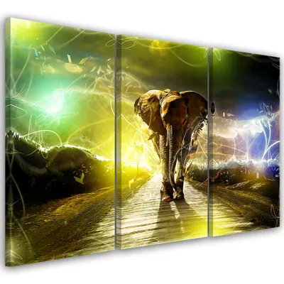 Image de Triptyque sur toile animaux - couleur 60x40 cm Feeby couleur tableau mural prêt à accrocher