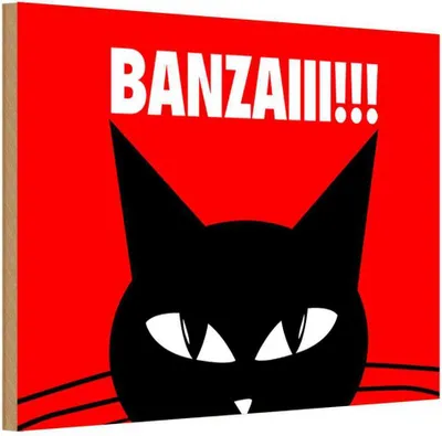 Produktbild von vianmo Holzschild 12x18 cm Katze Banzaiii!!! Tier Haustier