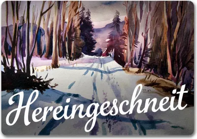 Produktbild von Schneepfad Hereingeschneit Fußmatte in 35x50 cm ohne Rand