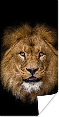 Produktbild von MuchoWow® Poster Löwe - Porträt - Schwarz - Tiere 60x120 cm - Wandschmuck