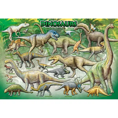 Image de EUROGRAPHICS Puzzle Dinosaures 100 pièces