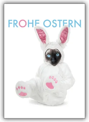 Produktbild von Lustige Osterkarte mit Siamkatze in Osterhasenkostüm