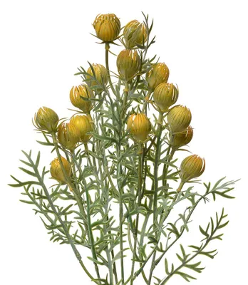 Produktbild von Clayre & Eef Kunstblume 47 cm Gelb Kunststoff
