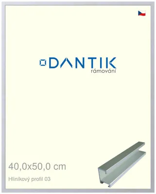 Zdjęcie produktu dla Rama DANTIK 40x50 | Profil ALU 7003 Srebrny mat (Plexi Clear)