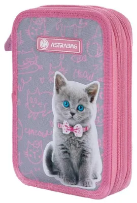 Produktbild von Doppeldecker-Federtasche ohne Mine AstraBAG PINK KITTY, AC2, 503022050