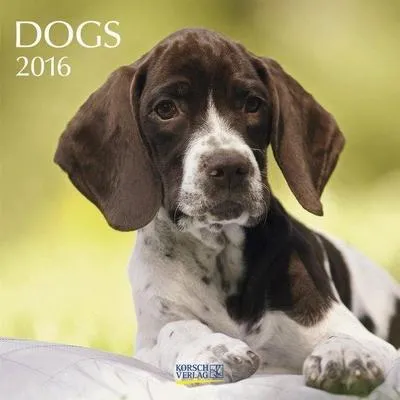 Produktbild von Dogs 2016/Broschürenkalender