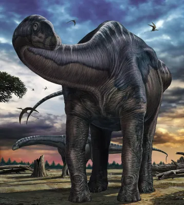 Produktbild von Komar Fototapete Argentinosaurus Blau und Grau - 610809 - 250 x 280 cm