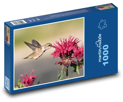 Obrázok produktu pre Puzzle 1000 Kolibrík a kvety v záhrade - martinpuzzle
