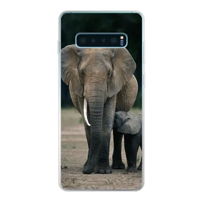 Produktbild von MuchoWow® Handyhülle Schutzhülle Hülle für Samsung Galaxy S10 Plus Elefant - Tiere - Flachland - Natur Silikon Softcase Handy Hülle - Schutzhülle