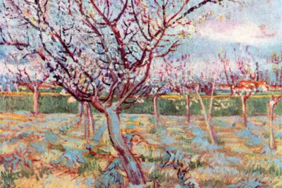 Produktbild von Vincent Van Gogh Kunstdruck Bild - Blühende Bäume, 1888 (80 x 120 cm)