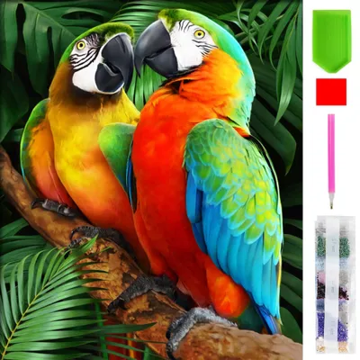 Produktbild von Malen nach Zahlen 5d Diamond Painting Papagei Vogel Malen nach Zahlen 15x20cm