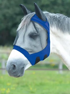 Image de BUSSE Masque anti-mouches Fly Buckler Gap II protection contre les insectes bleu royal Minishetty