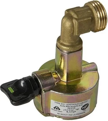 Image de Robinet adaptateur Bethane / Propane NF - ROUSSEAU - D.27 mm