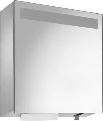 Wagner-EWAR Spiegelschrank mit integriertem Seifen- und Handtuchspender WP600  Edelstahl matt für Aufputzmontage