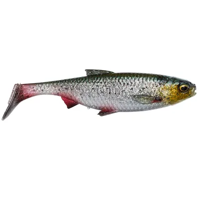 Obrázek produktu pro Savage Gear 3D River Roach Green Silver 10 cm 10 g Gumová nástraha