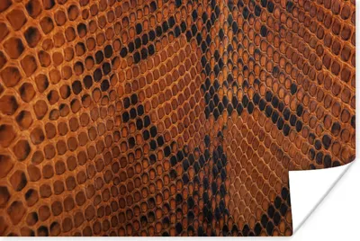 Produktbild von MuchoWow® Poster Leder - Textur - Tierhaut 60x40 cm - Schlafzimmerdekoration