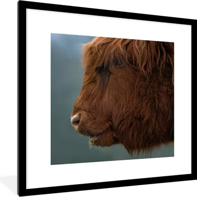 Produktbild von MuchoWow® Gerahmtes Poster Schottische Highlander - Tiere - Nebel 40x40 cm - Poster mit Schwarzem Bilderrahmen Wandposter Rahmen Foto Bilder - Poster - Plakat im Rahmen