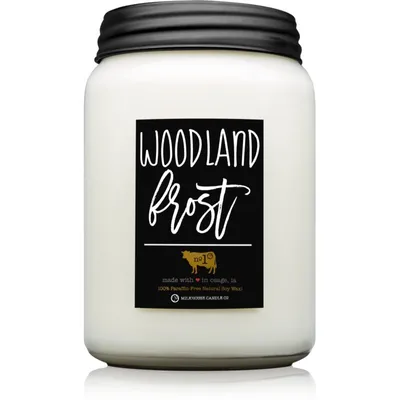 Obrázek produktu pro Milkhouse Candle Co. Farmhouse Woodland Frost vonná svíčka 737 G