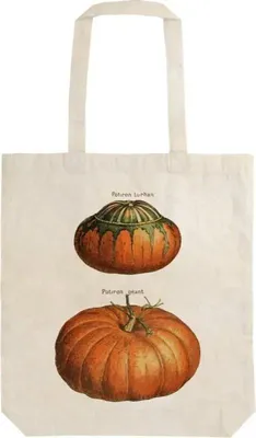 Imagen del producto de Bolsa de tela Pumpkins