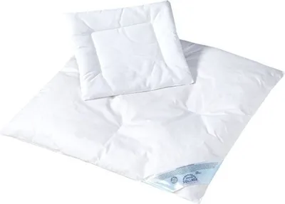 Produktbild von Julius Zöllner Steppbett-Set Federn & Daunen 80 x 80 cm
