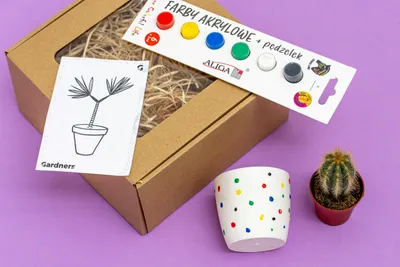Obrázek produktu pro Gardners Dárková sada pro děti "Pomaluj si květináč"