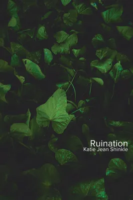 Produktbild von Ruination