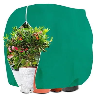 Produktbild von Winterschutzhülle Pflanzen Frostschutzsack 160x240cm Grün