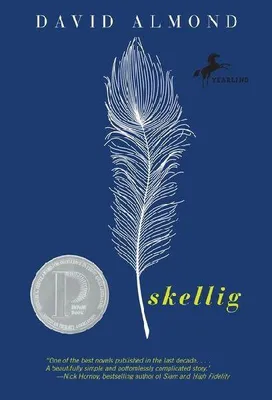 Produktbild von Skellig