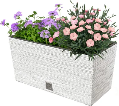 Produktbild von Blumenkasten Meißel Balkonkasten Pflanzkasten Weiß L 39,5 cm mit Topf Einsatz Pflanzkübel Einzigartiger Blumentopf Kunststoff