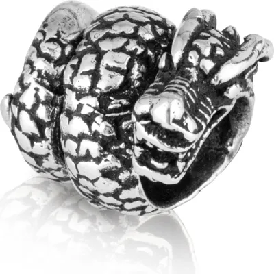 Produktbild von Drachen - 925 Sterling Silber Bartperle Germanisch Keltisch Wikinger Gothic 3560