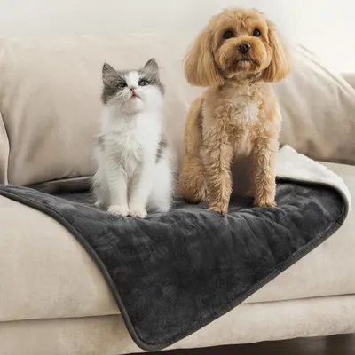 Imagen del producto de Manta para perro - Impermeable - Reversible - 63 x 88 cm - Gris oscuro