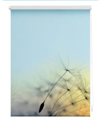 Produktbild von Lichtblick Rollo Klemmfix, ohne Bohren, Verdunkelung, Pusteblume - Blau 90 x 150 cm