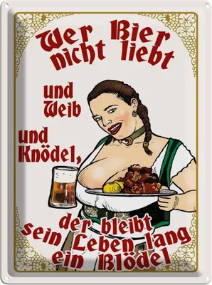 Produktbild von vianmo Blechschild 40x30 cm Pinup wer Bier nicht liebt ein Blödel Spruch Zitat
