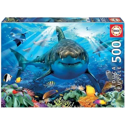 Obrázek produktu pro Educa 18478, 500 kusů, Další, 10 rok/roky