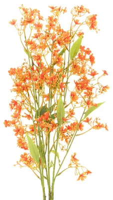 Produktbild von Kunstblume Orchideenzweig für stilvolle Wohn- und Eventdeko, 3 Stück