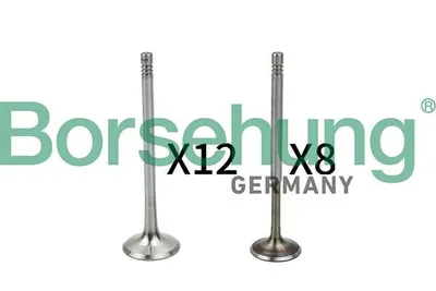 Obrázek produktu pro Borsehung ventil B18635 pro VW Golf IV hatchback (1J1)
