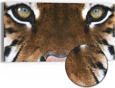 Produktbild von DEQORI Hybrid Leinwand Bild 60x30 cm 'Tigerblickfaszination' Wandbild Glas flach modern