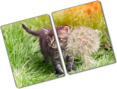 Produktbild von Tulup Glas Herdabdeckplatte - 2x40x52 cm - Glaskeramikkochfeld-Abdeckung Spritzschutz Glasabdeckplatte Kochplattenabdeckung und Schneidebrett - Zweiteilig - Tiere - Kätzchen Pusteblume - Grau