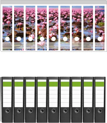 Produktbild von Wallario 9 Stück breite Ordner inkl. Klebeetiketten mit Motive Seerosenlandschaft mit rosa Blüten -  Set mit Rückenschildern / Ordnerrücken Stickern