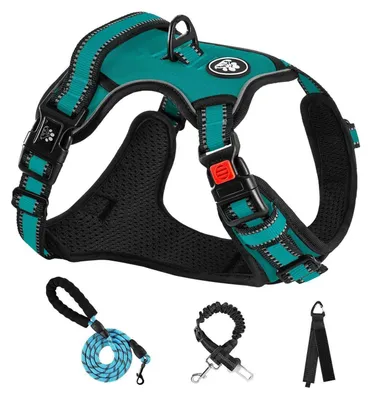 Image de Harnais pour chien, grande taille (L), bleu clair