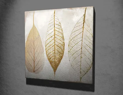 Obrázok produktu pre Wallity, KC098- SYM3277, Farebné, Výtlačky na plátno, 45 x 45 cm, 100% plátno