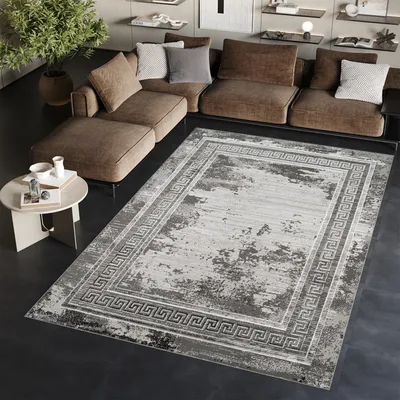 Obrázok produktu pre Tapiso koberec ARES classic sivý obývacia izba spálňa OEKO-TEX 250 x 350 cm