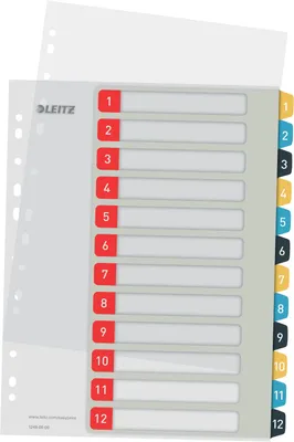 Produktbild von Leitz 12480000, Numerischer Registerindex, Polypropylen (PP), Porträt, A4 Maxi, 245 mm, 305 mm