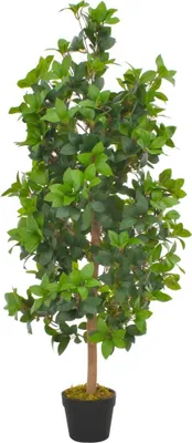 Obrázek produktu pro The Living Store Umělá rostlina vavřín s květináčem zelená 120 cm