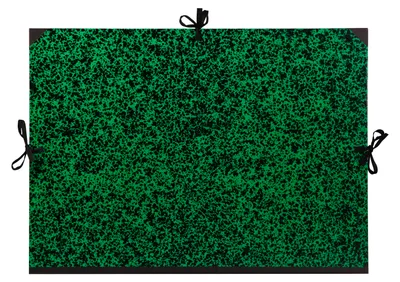 Produktbild von Clairefontaine Zeichenmappe 61x75 Annonay grün