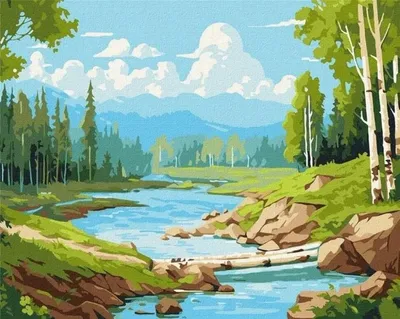Produktbild von Malen nach Zahlen – Im Birkenhain 40 x 50 cm – Ideyka